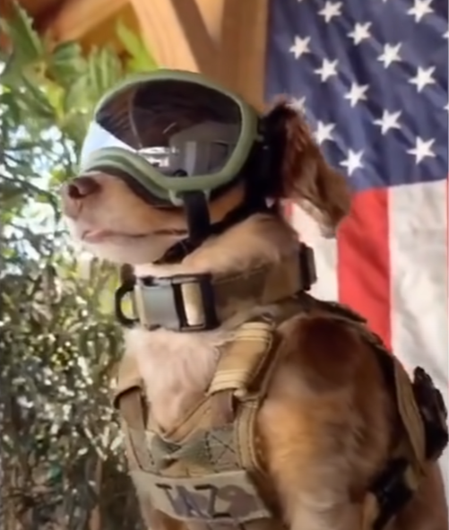 Oh no soap you didn't juju on that beat by SpringBonnie Tuna