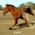 Karel 3