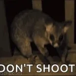 Dont Shoot