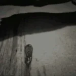 Now i can be there, for you!