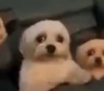 I AM THE STORM THAT IS APPROACHING