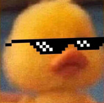 CHICKEN JOCKEY