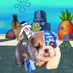 I'm Randy Butternubs