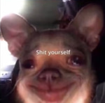 Low Quality Laugh