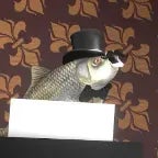 linggangguliguli ahh