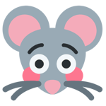 Hokey Pokey Kids Dance Song Children's Songs by The Learning St