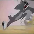 Tom Scream