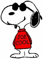 Joe Cool