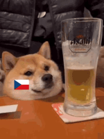 Holky z naší školky