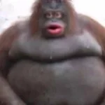 Maxime le master gooner (copy)