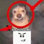 german brainrot BASS BOOSTED