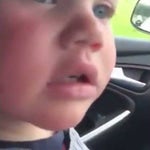 Monkey on the car, f*** off!