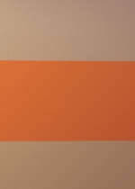 My name is Skyler White yo