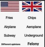 LACKADAISY Jazz Cat Dance Loop (LOOP) - Sound