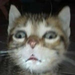 @YESIMPRETTYVEE I Got My Edges Back - Sound