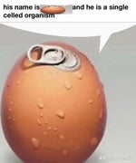 crazy hamburger - Sound