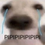 dije la palabra graciosa ahora todos corranse en mi cara