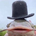 ya tebya bum bum bum