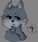 Porque você ta seguindo ela