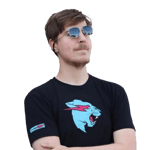 Mrbeast song