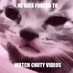 bisa ke jakarta sekarang gak mo