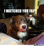 life could be a dream