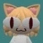 vamo matar esse cavalo