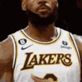Lebron Lebron Lebron James