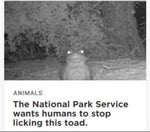 a10 thunderbolt - Sound