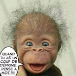 Oui, je suis gay MEME Newtiteuf