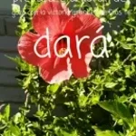 esta sarpada esa wuacha