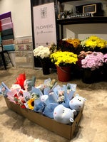 VELOCITY PRO MAX GAASSS