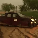 squeak squeak goes the dominator 3