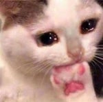 SpongeBob SquarePants Glass Bones and Paper Skin - Sound