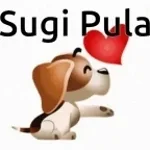 sugi pula by edu