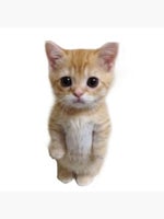 El Gigante de Hierro (Schedule 1)