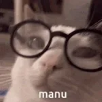 manu #1