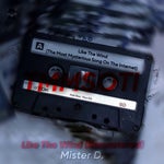 Like The Wind by Unkown pt2