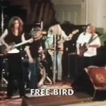 FreeBird - [Even shorter version]