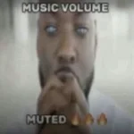 Music Volume Muted