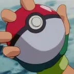 Pokeball Capture