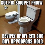 skibidi toilet or creeper