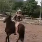 Noi non siamo cavalli siamo essere umani