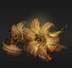 You have no enemies Thorfinn.