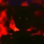 springtrap burning- feat libets delay