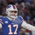 un dia a callo le llego un gato muy esoecial