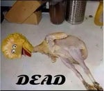 huh top 1 9 kill wow