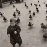 må jeg gerne følge efter dig