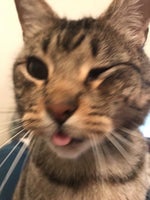 RPReplay Final1686146555