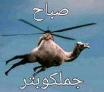 merry indian christmas